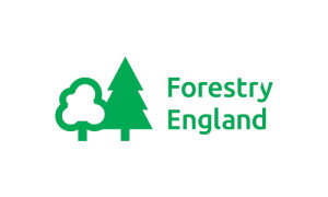 forestry england